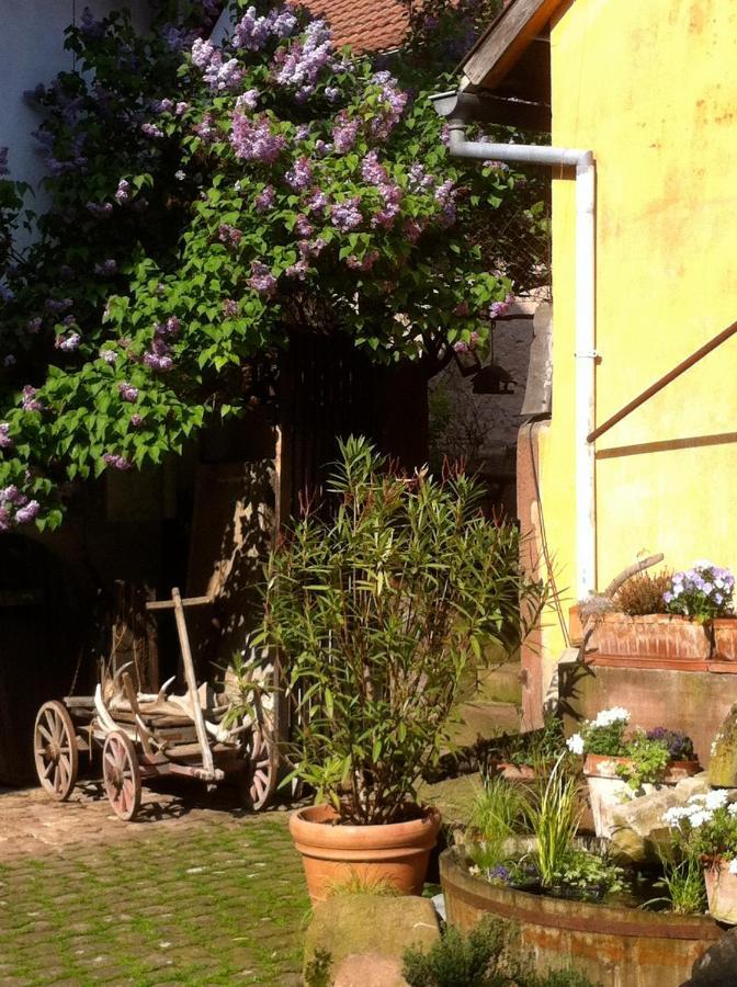 La Maison De Caroline Westhoffen Buitenkant foto