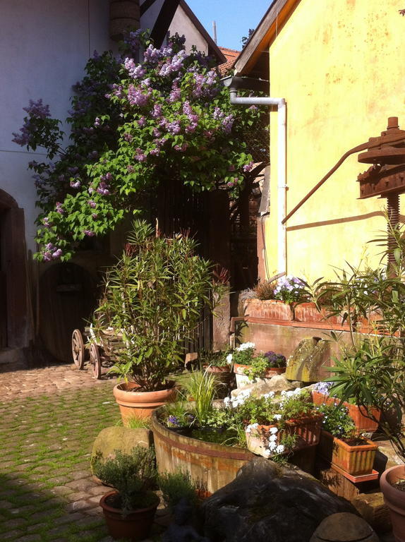 La Maison De Caroline Westhoffen Buitenkant foto